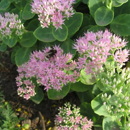 דירה Charmantes In Jennewitz, In Ostseenaehe Jennewitz