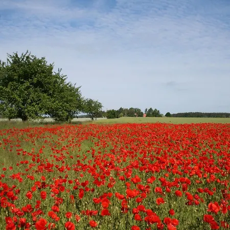 דירה Charmantes In Jennewitz, In Ostseenaehe